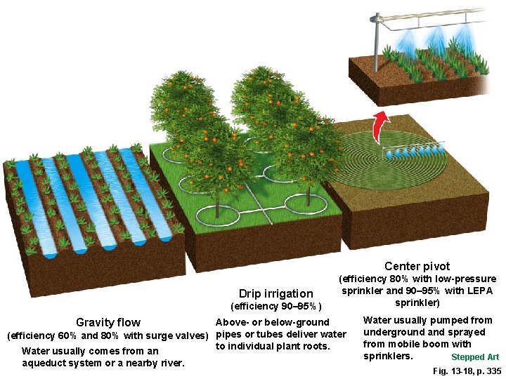 Center pivot Drip irrigation (efficiency 90– 95%) Gravity flow (efficiency 80% with low-pressure sprinkler