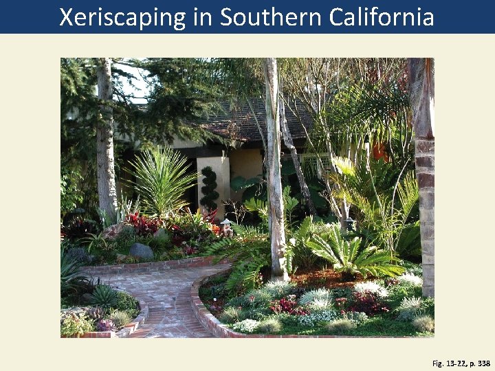 Xeriscaping in Southern California Fig. 13 -22, p. 338 