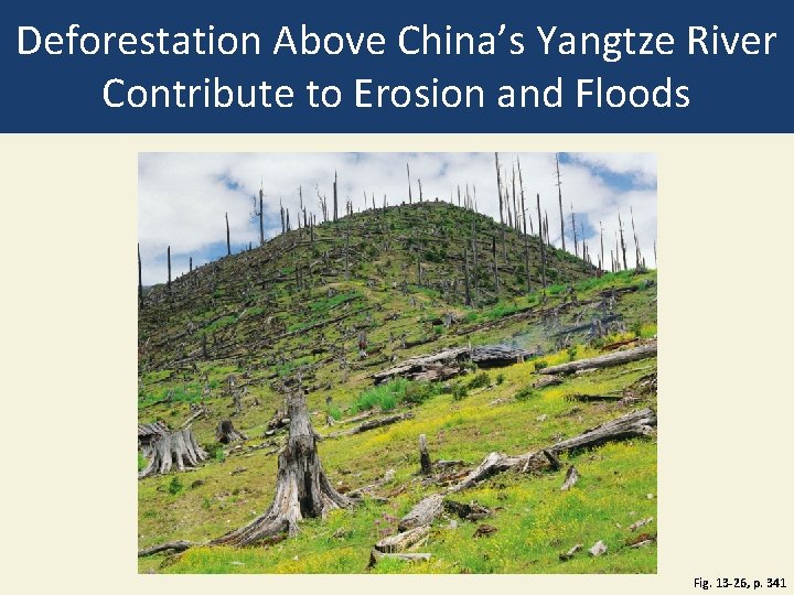 Deforestation Above China’s Yangtze River Contribute to Erosion and Floods Fig. 13 -26, p.