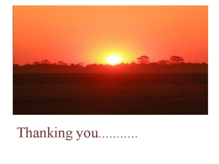 Thanking you. . . 