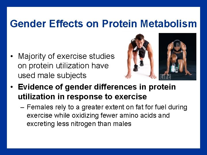 Gender Effects on Protein Metabolism • Majority of exercise studies on protein utilization have