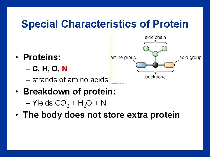 Special Characteristics of Protein • Proteins: – C, H, O, N – strands of