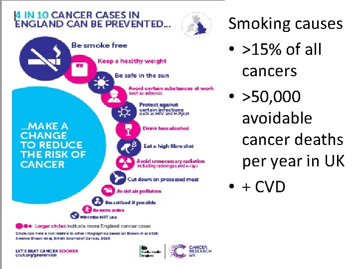 Smoking causes • >15% of all cancers • >50, 000 avoidable cancer deaths per