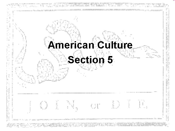 American Culture Section 5 