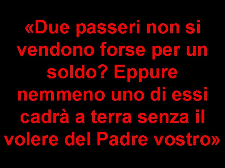  «Due passeri non si vendono forse per un soldo? Eppure nemmeno uno di