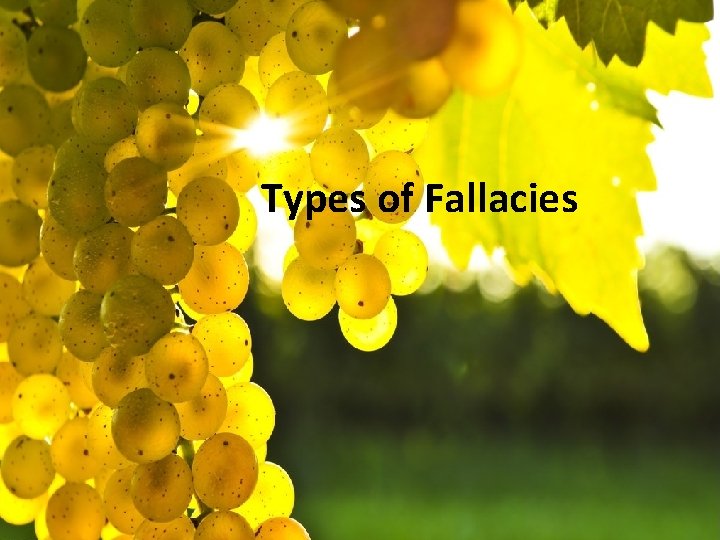 Types of Fallacies 