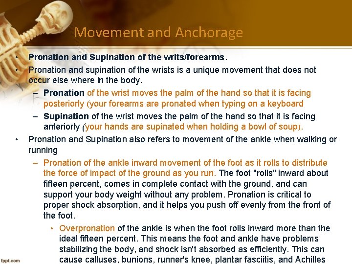 Movement and Anchorage • • • Pronation and Supination of the writs/forearms. Pronation and