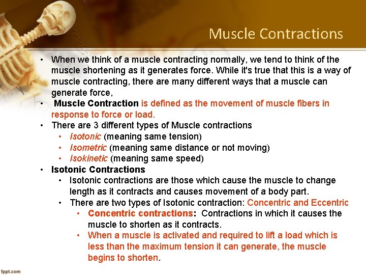 Muscle Contractions • When we think of a muscle contracting normally, we tend to