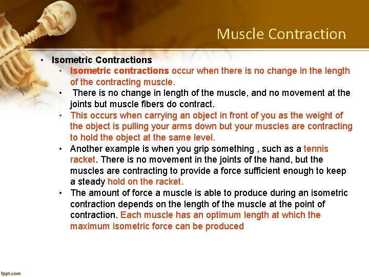 Muscle Contraction • Isometric Contractions • Isometric contractions occur when there is no change