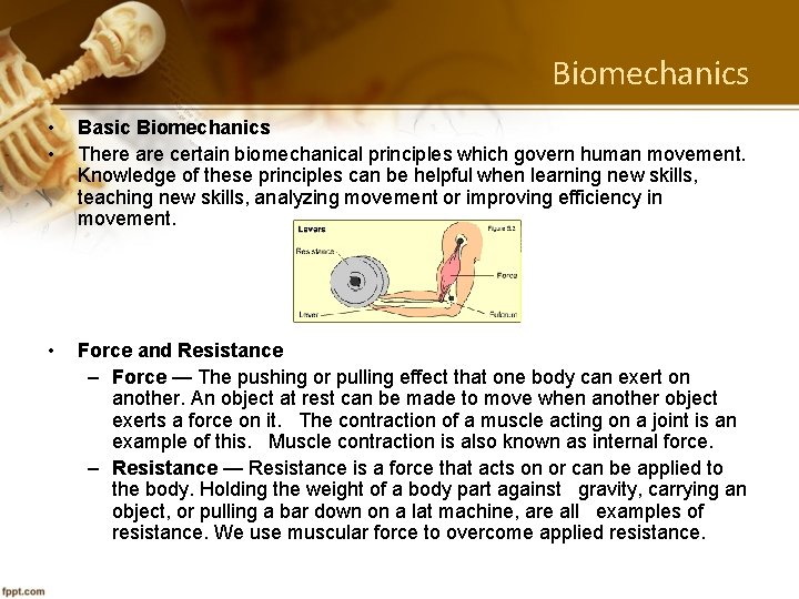 Biomechanics • • Basic Biomechanics There are certain biomechanical principles which govern human movement.