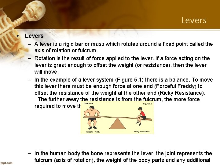 Levers • Levers – A lever is a rigid bar or mass which rotates