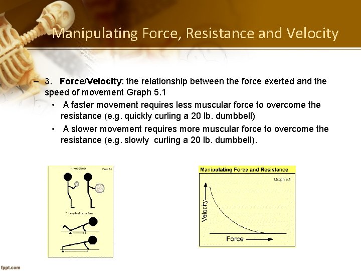 Manipulating Force, Resistance and Velocity – 3. Force/Velocity: the relationship between the force exerted