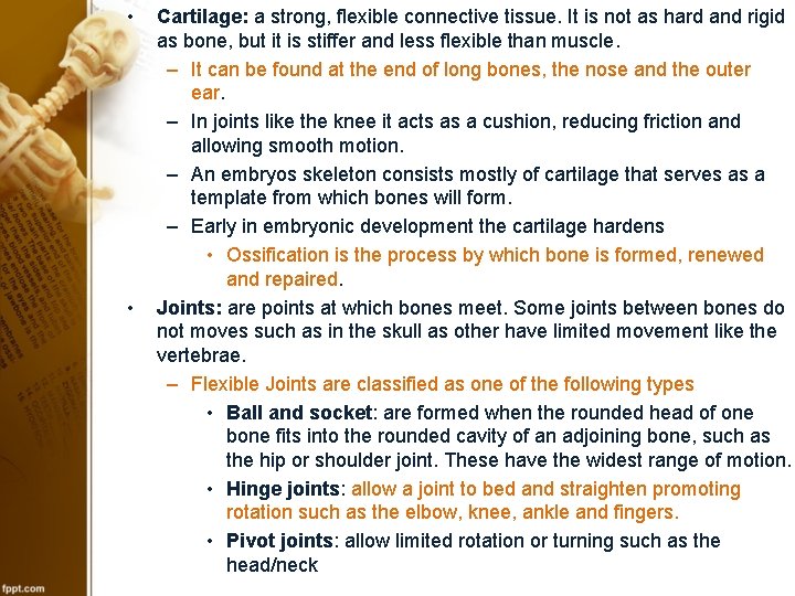  • • Cartilage: a strong, flexible connective tissue. It is not as hard