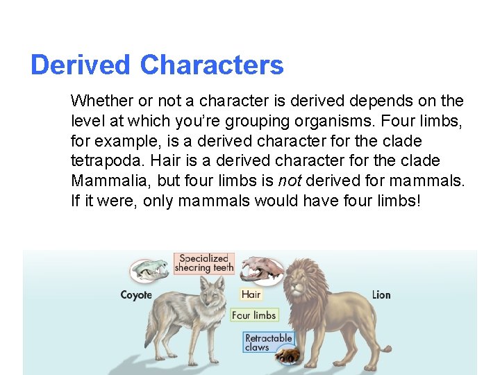 Derived Characters Whether or not a character is derived depends on the level at