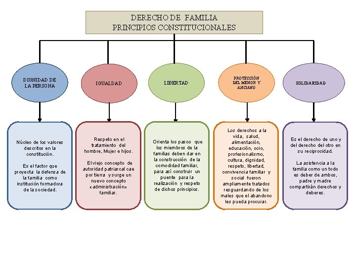 DERECHO DE FAMILIA PRINCIPIOS CONSTITUCIONALES DIGNIDAD DE LA PERSONA Núcleo de los valores descritos