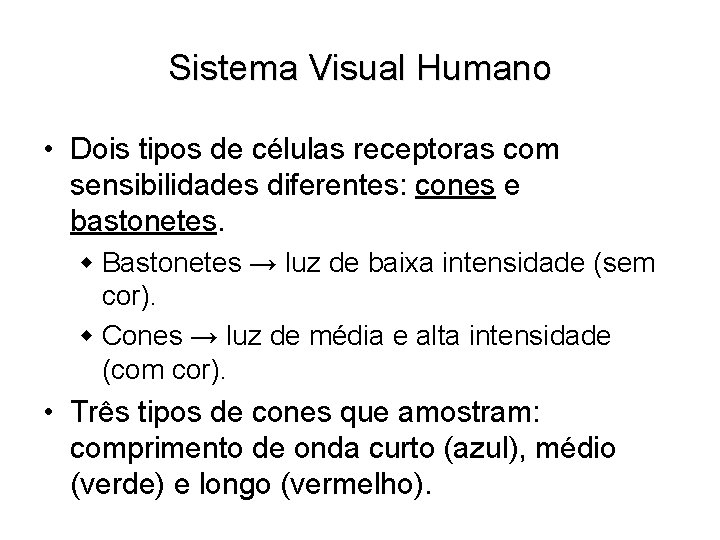 Sistema Visual Humano • Dois tipos de células receptoras com sensibilidades diferentes: cones e