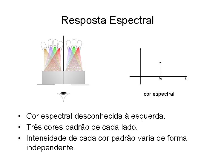 Resposta Espectral cor espectral • Cor espectral desconhecida à esquerda. • Três cores padrão