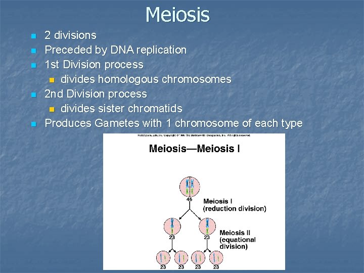 Meiosis n n n 2 divisions Preceded by DNA replication 1 st Division process