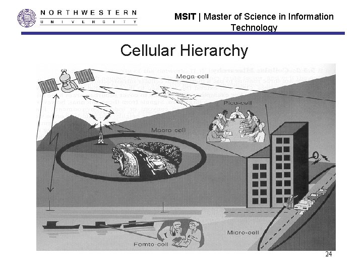 MSIT | Master of Science in Information Technology Cellular Hierarchy 24 