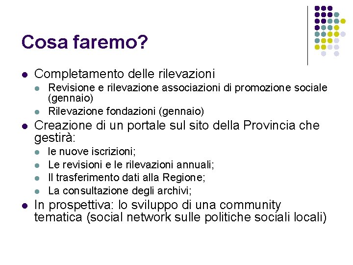 Cosa faremo? l Completamento delle rilevazioni l l l Creazione di un portale sul