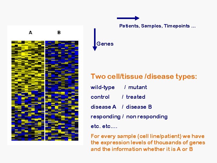 Patients, Samples, Timepoints. . . Genes Two cell/tissue /disease types: wild-type / mutant control Patients, Samples, Timepoints. . . Genes Two cell/tissue /disease types: wild-type / mutant control