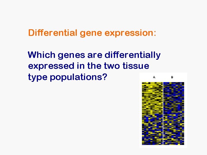 Differential gene expression: Which genes are differentially expressed in the two tissue type populations? Differential gene expression: Which genes are differentially expressed in the two tissue type populations?
