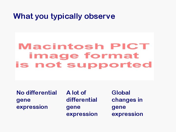 What you typically observe No differential gene expression A lot of differential gene expression What you typically observe No differential gene expression A lot of differential gene expression