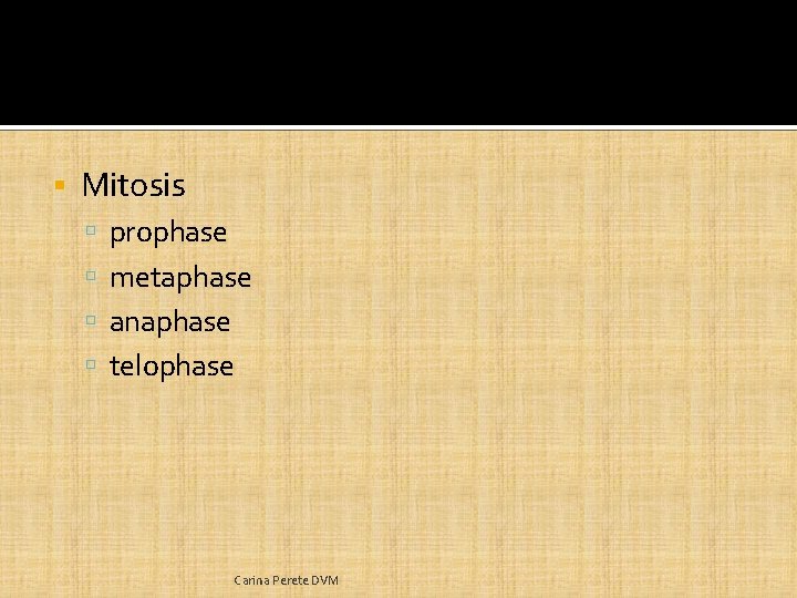  Mitosis prophase metaphase anaphase telophase Carina Perete DVM 