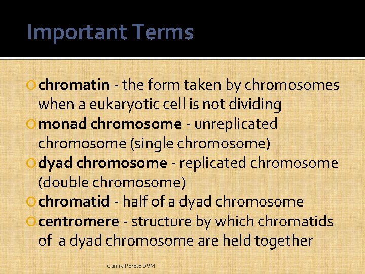 Important Terms chromatin - the form taken by chromosomes when a eukaryotic cell is