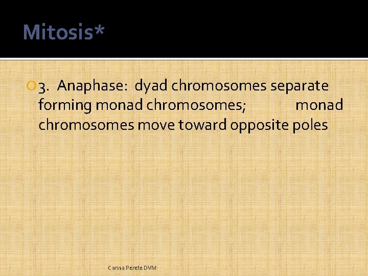 Mitosis* 3. Anaphase: dyad chromosomes separate forming monad chromosomes; monad chromosomes move toward opposite