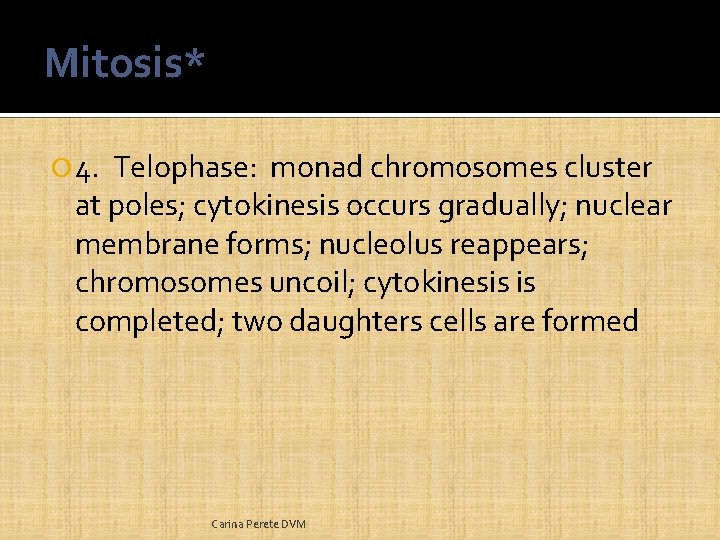 Mitosis* 4. Telophase: monad chromosomes cluster at poles; cytokinesis occurs gradually; nuclear membrane forms;