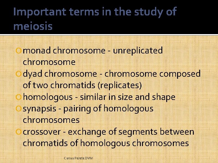 Important terms in the study of meiosis monad chromosome - unreplicated chromosome dyad chromosome