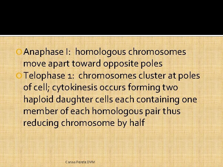  Anaphase I: homologous chromosomes move apart toward opposite poles Telophase 1: chromosomes cluster