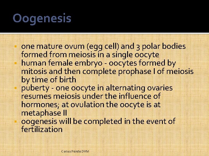 Oogenesis one mature ovum (egg cell) and 3 polar bodies formed from meiosis in