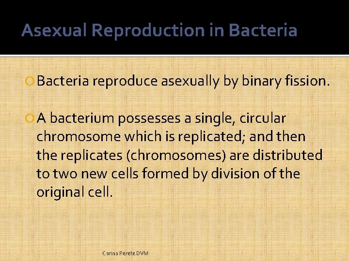 Asexual Reproduction in Bacteria reproduce asexually by binary fission. A bacterium possesses a single,