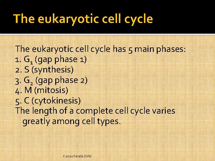 The eukaryotic cell cycle has 5 main phases: 1. G 1 (gap phase 1)