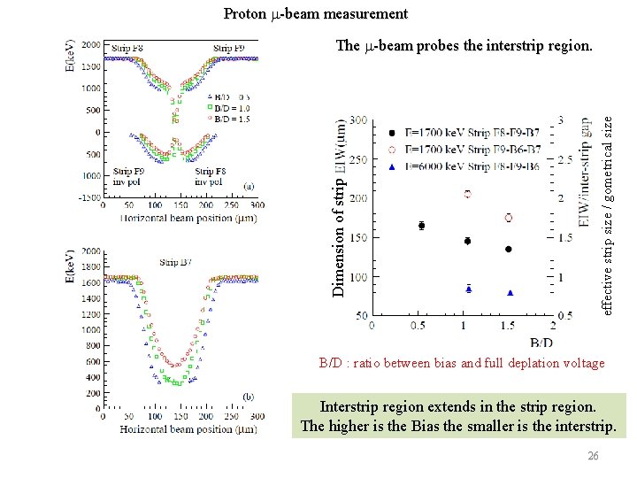 Proton m-beam measurement effective strip size / gometrical size Dimension of strip The m-beam