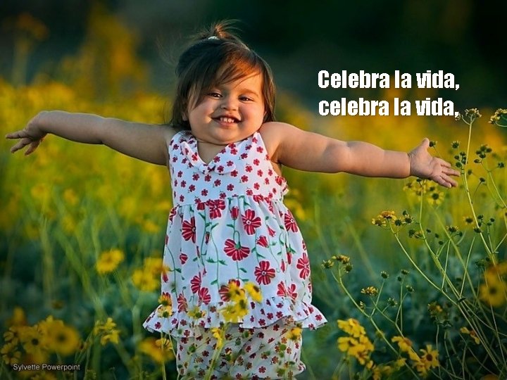 Celebra la vida, celebra la vida, 