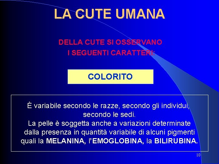 LA CUTE UMANA DELLA CUTE SI OSSERVANO I SEGUENTI CARATTERI: COLORITO È variabile secondo