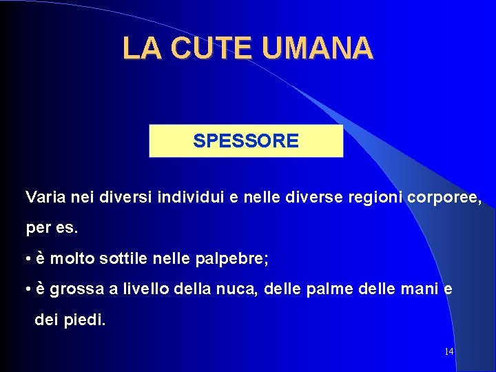 LA CUTE UMANA SPESSORE Varia nei diversi individui e nelle diverse regioni corporee, per