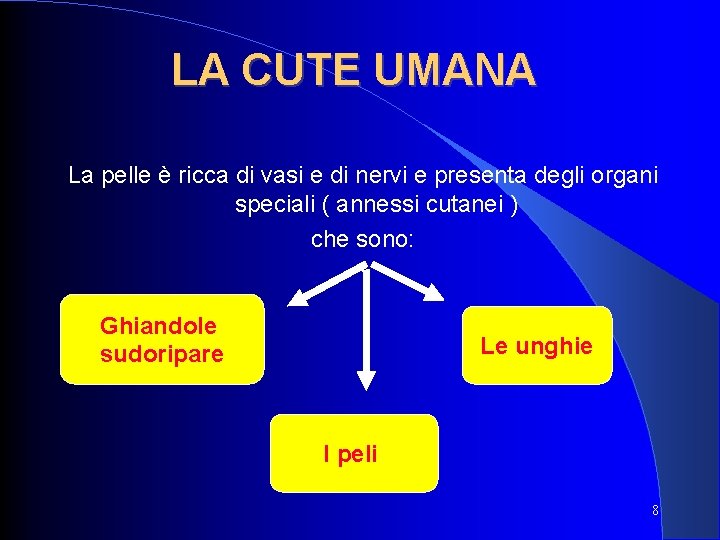 LA CUTE UMANA La pelle è ricca di vasi e di nervi e presenta