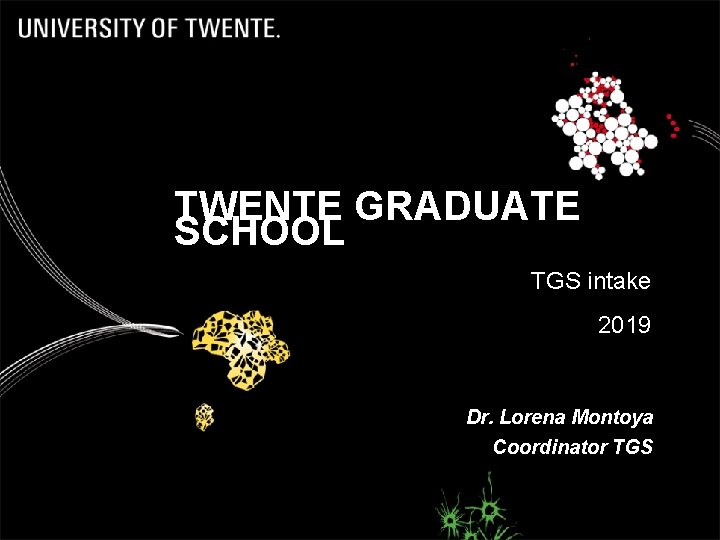 TWENTE GRADUATE SCHOOL TGS intake 2019 Dr. Lorena Montoya Coordinator TGS 