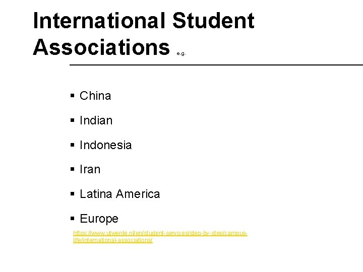 International Student Associations e. g. § China § Indian § Indonesia § Iran §