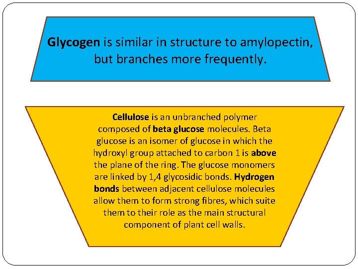 Glycogen is similar in structure to amylopectin, but branches more frequently. Cellulose is an