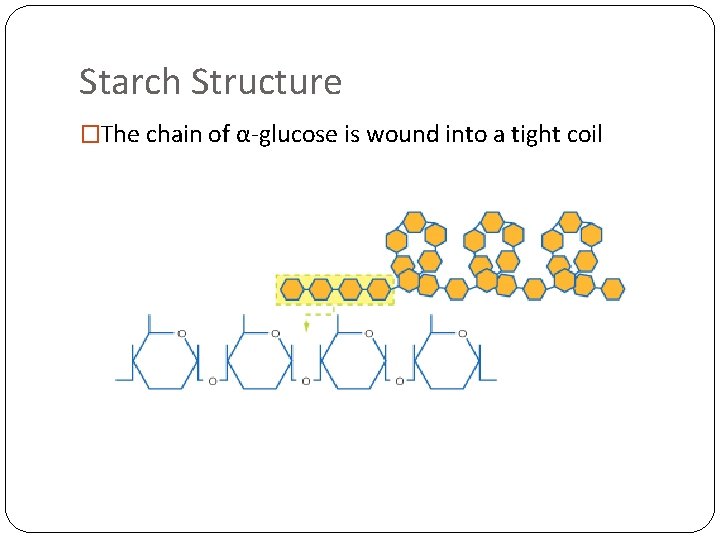 Starch Structure �The chain of α-glucose is wound into a tight coil 