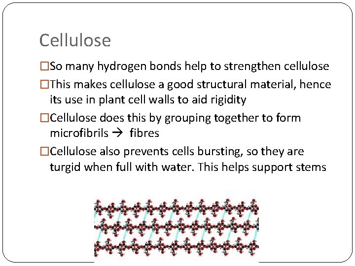 Cellulose �So many hydrogen bonds help to strengthen cellulose �This makes cellulose a good