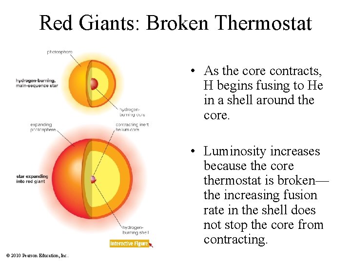 Red Giants: Broken Thermostat • As the core contracts, H begins fusing to He
