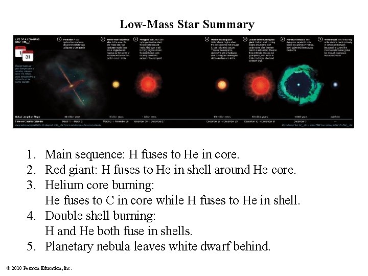 Low-Mass Star Summary 1. Main sequence: H fuses to He in core. 2. Red