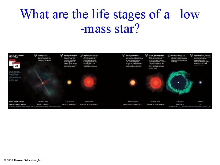 What are the life stages of a low -mass star? © 2010 Pearson Education,