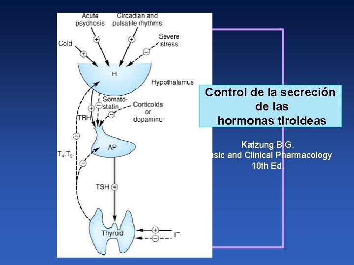 Control de la secreción de las hormonas tiroideas Katzung B. G. Basic and Clinical